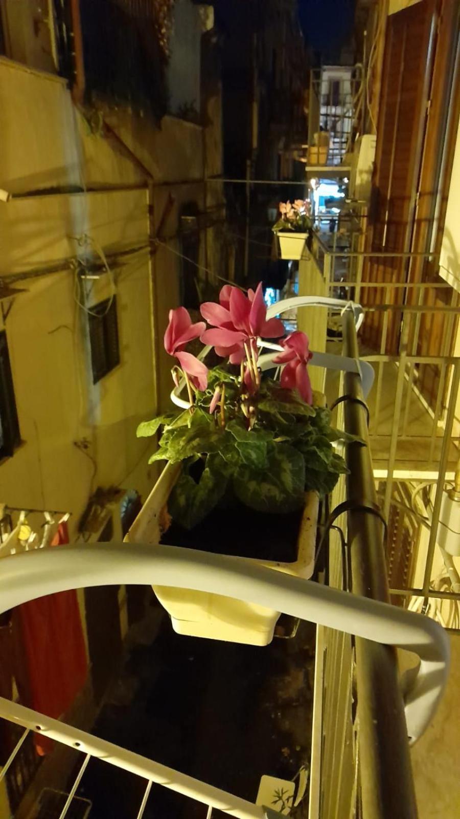 巴勒莫Casa Kyla公寓 外观 照片